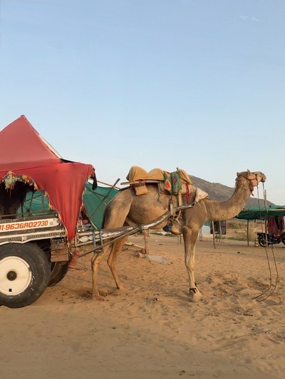 48 hours in Pushkar