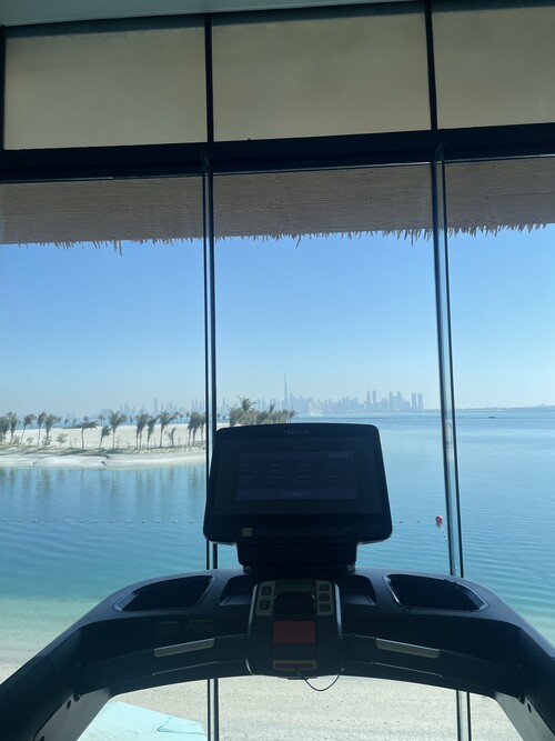 Anantara World Islands Dubai Resort. gym view