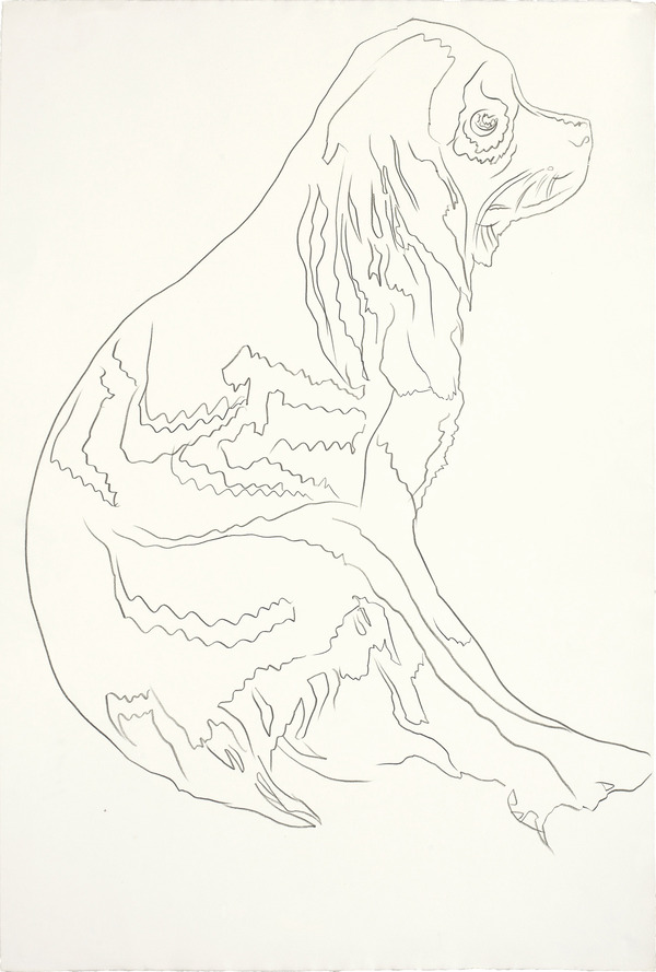 dog sketch by andy Warhol 
