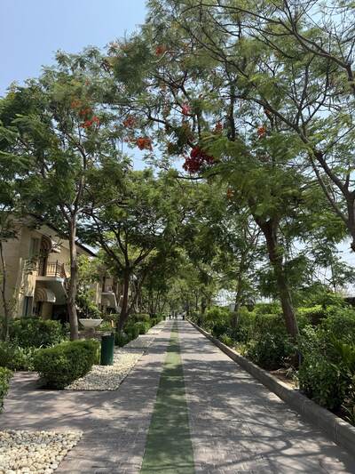 Pushkar 5 star hotel