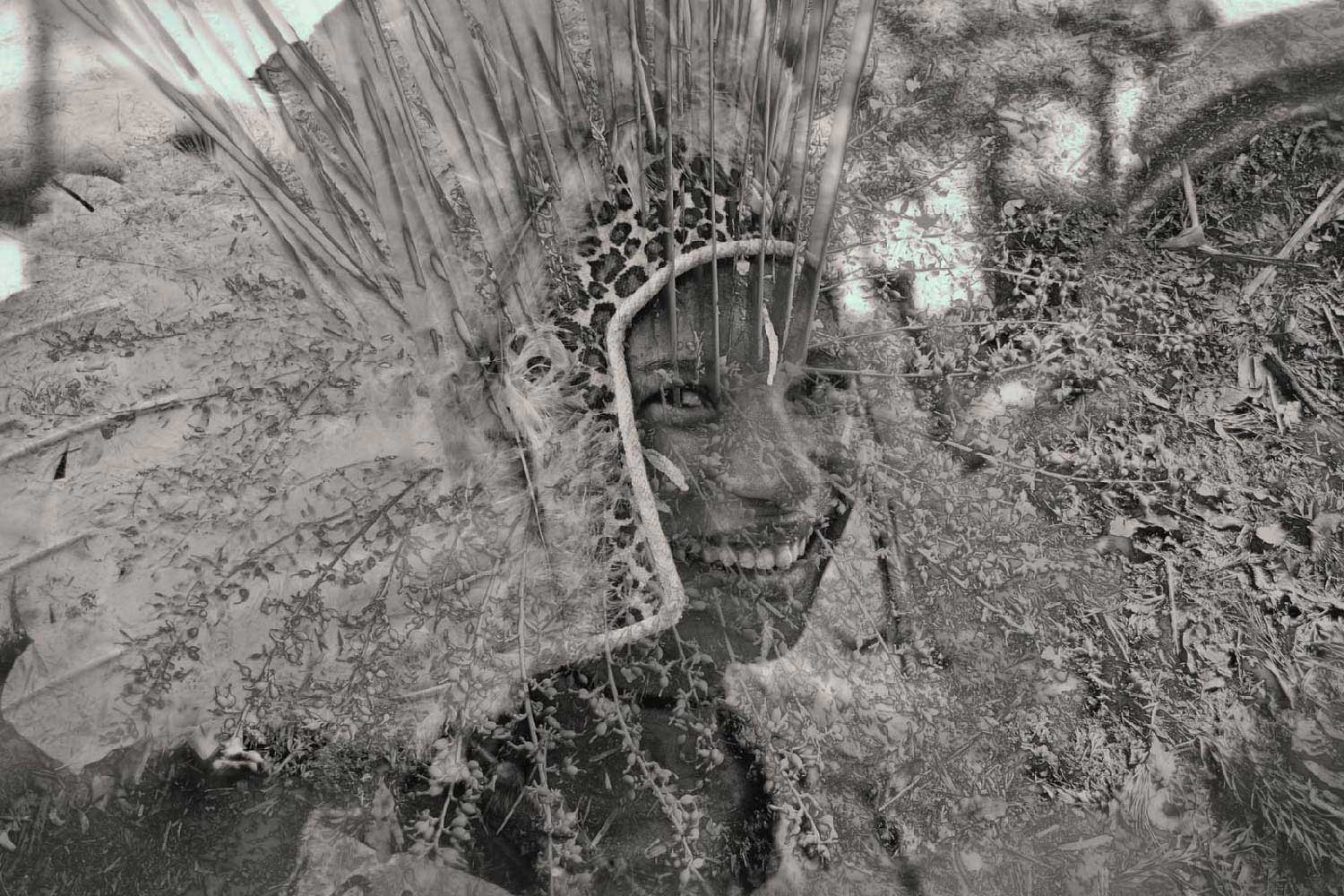 Natasha Hemrajani captures the Carnival of Brazil for currentMood Mag