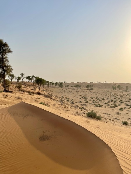 Ritz Carlton Al Wadi Desert 4