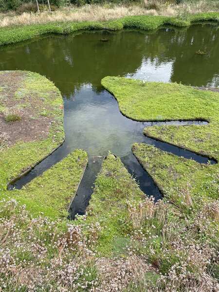 The Newt in somerset