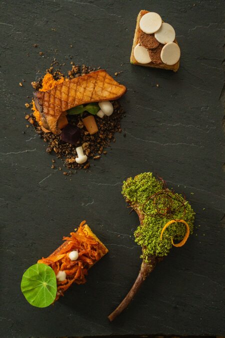 The Sarvato Jaipur food