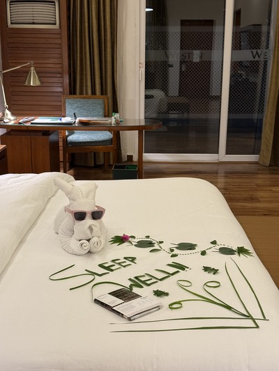 turndown service decor