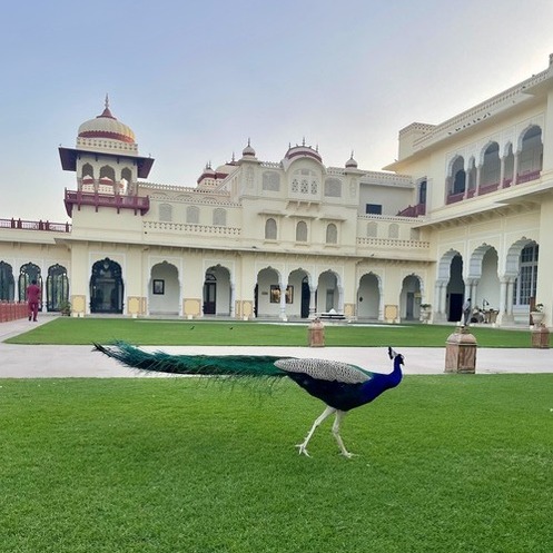 best hotels and cafés in jaipur - ram bag palace