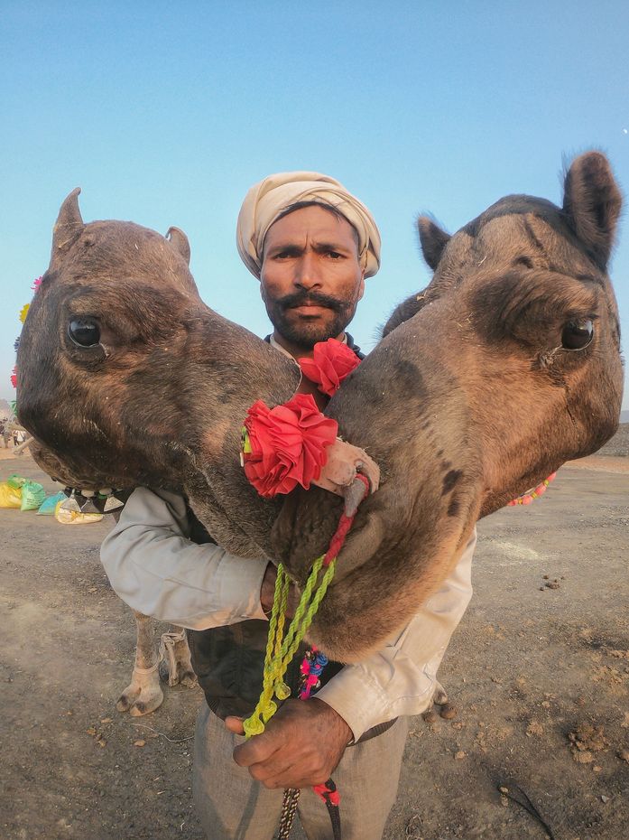 Travel photographer Harmeet Singh photographs Pushkar mela, one of India's largest camel, horse and cattle fairs.