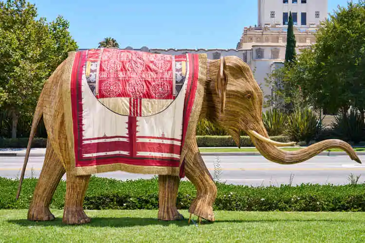 boito the great elephant migration